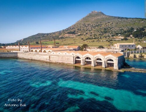 Tonnara