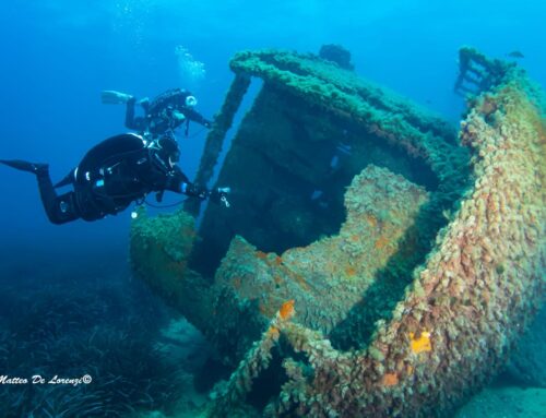 Il relitto di Scoglio Palumbo